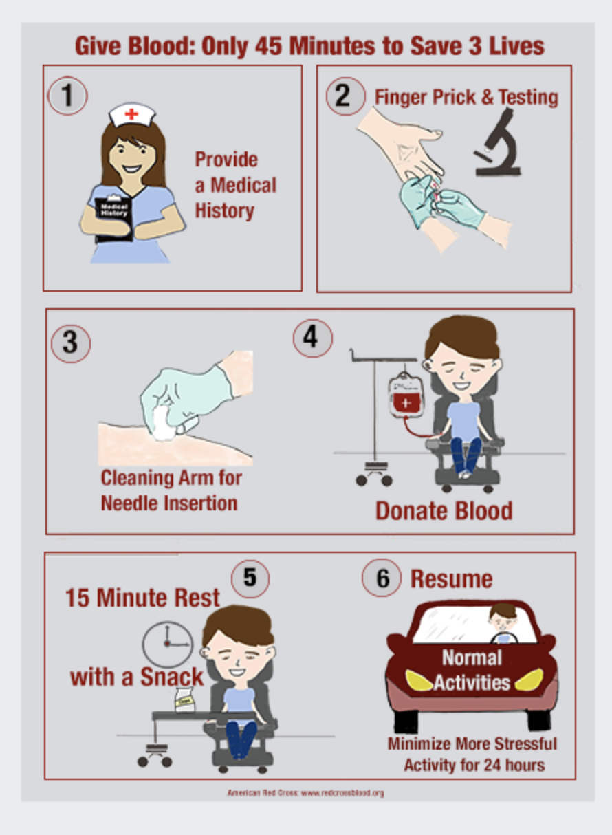 Poster showing a person donating blood in a clinic chair with a nurse nearby, text reads ‘Give a Pint, Save Up to 3 Lives’ and lists quick facts about donation safety, time, and impact, ending with a call to action to schedule a blood donation.