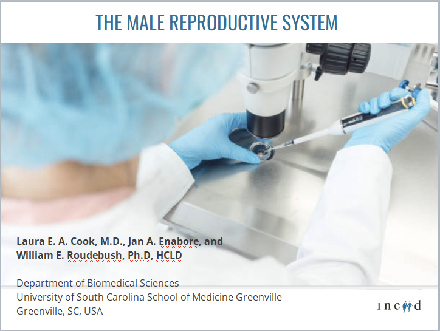 Interactive activity on sperm analysis and the male reproductive system.